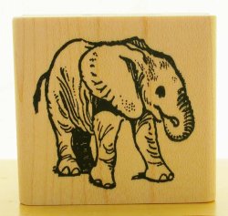 画像1: 赤ちゃん象