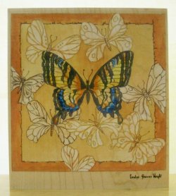 画像1: 蝶の研究